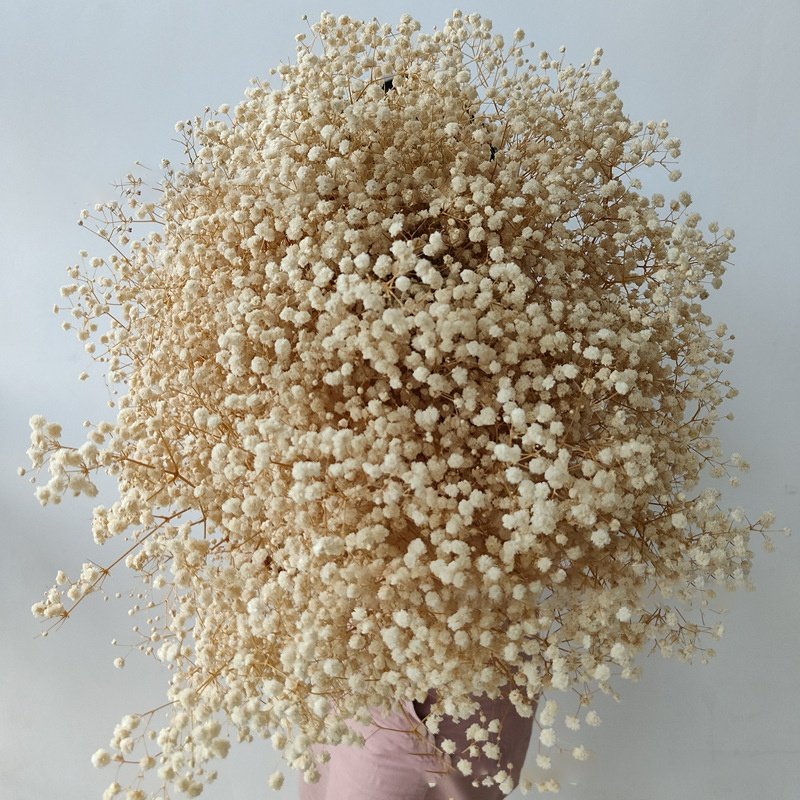 Wholesale Baby Breath Home Decorative Colorful Dried Artificial Flowers Boho Dried Flowers Bouquet Preserved Gypsophila Flower