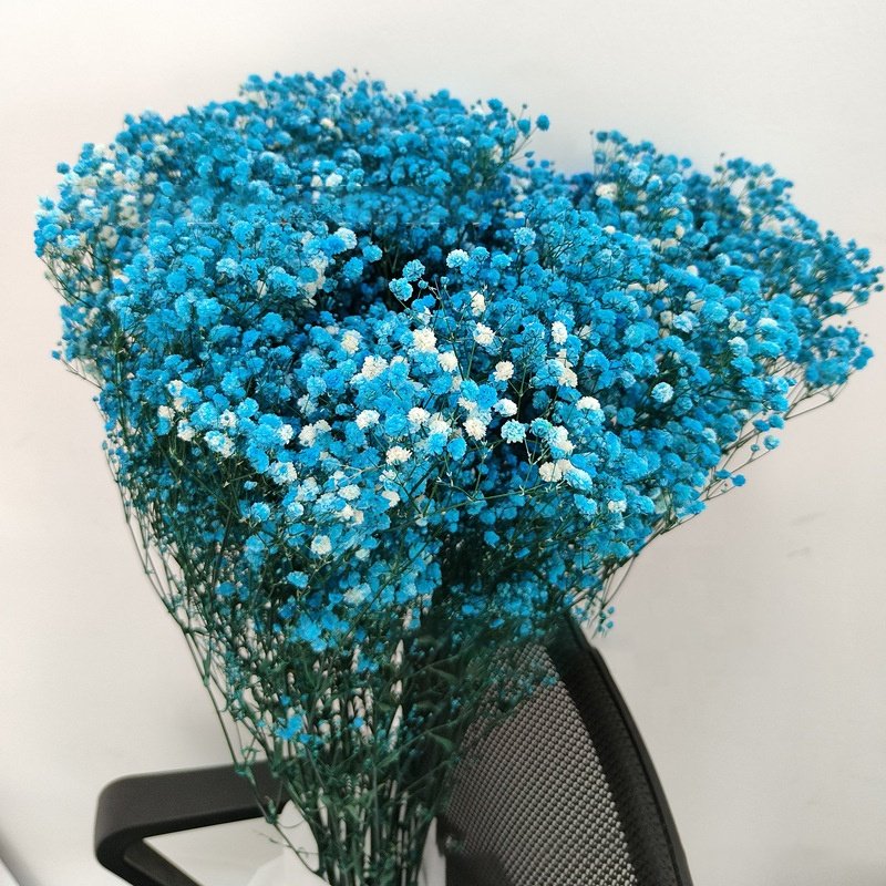 Wholesale Baby Breath Home Decorative Colorful Dried Artificial Flowers Boho Dried Flowers Bouquet Preserved Gypsophila Flower