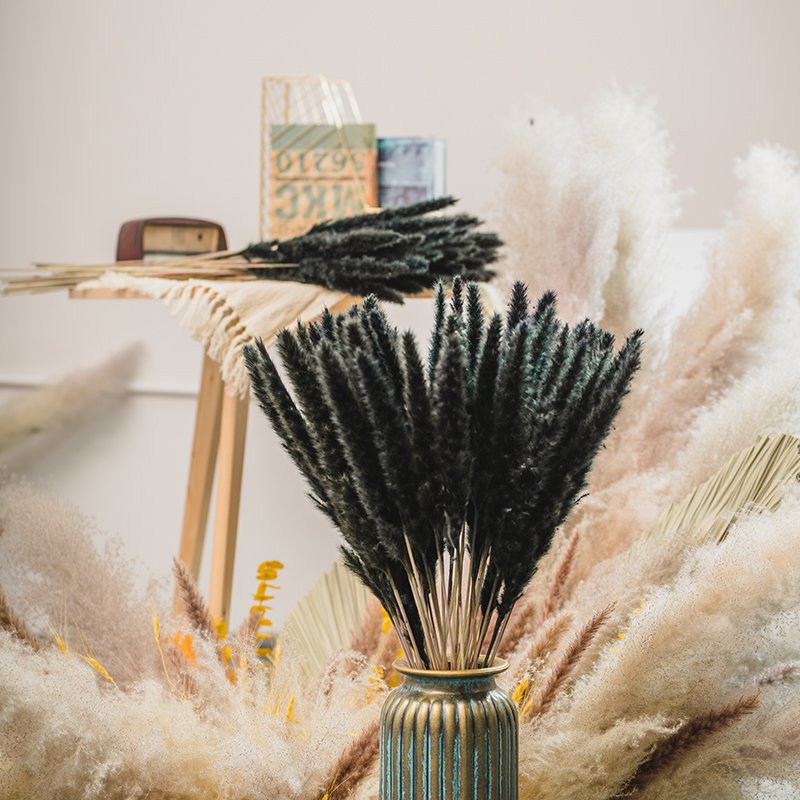 2022 Shopping site Top Sellers Black Pampas Grass Dried Flower Natural Color One-stop service For Home Decoration
