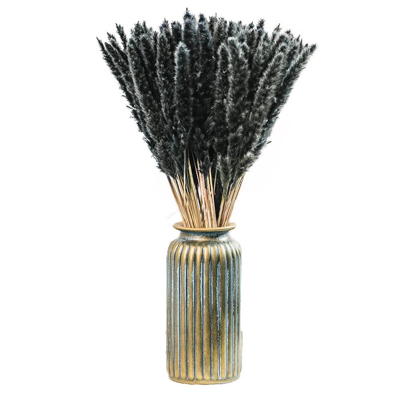 2022 Shopping site Top Sellers Black Pampas Grass Dried Flower Natural Color One-stop service For Home Decoration