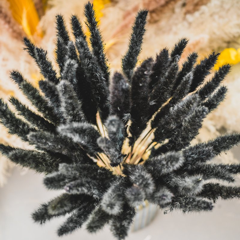 2022 Shopping site Top Sellers Black Pampas Grass Dried Flower Natural Color One-stop service For Home Decoration