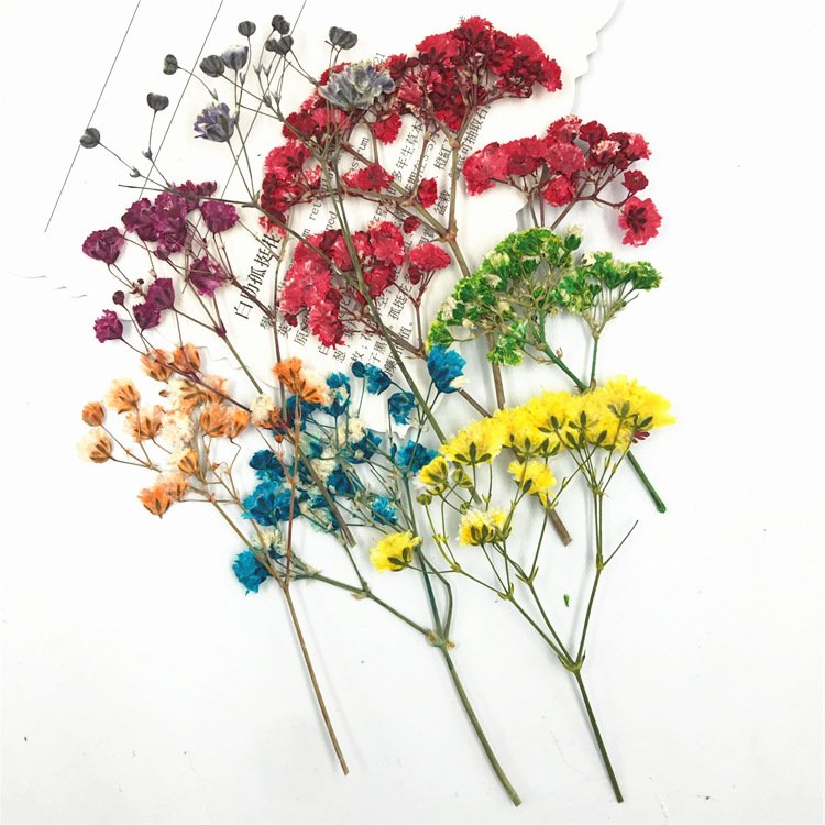 Colorful Dried Flowers Babys Breath Bouquet for Home Decor