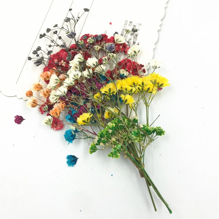 Colorful Dried Flowers Babys Breath Bouquet for Home Decor