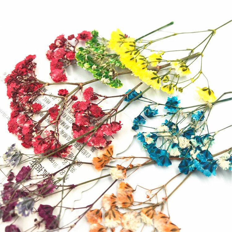 Colorful Dried Flowers Babys Breath Bouquet for Home Decor