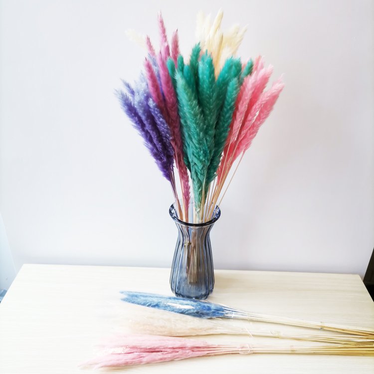 sumflora instagram 2024 plant table decor flower garden design dried flowers small pampas grass
