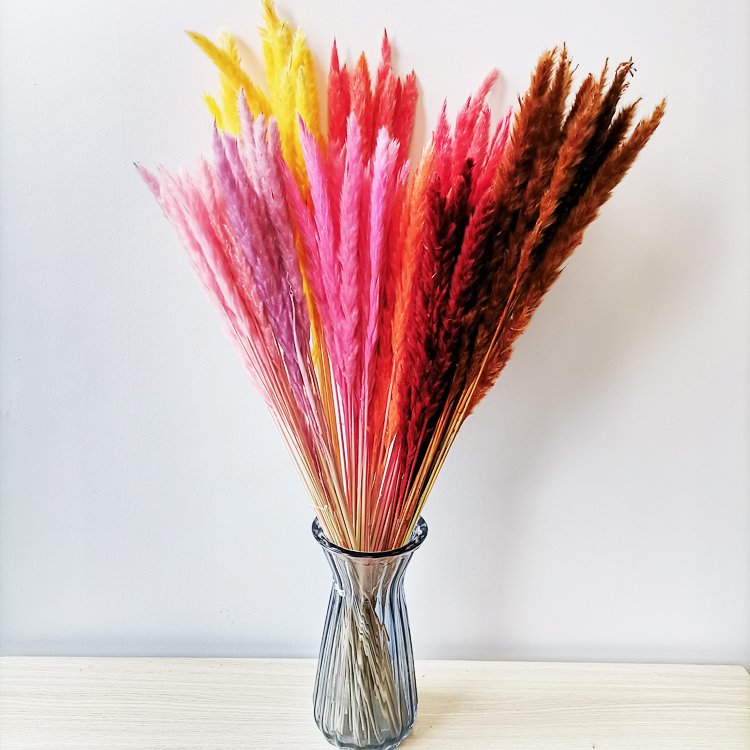 sumflora instagram 2024 plant table decor flower garden design dried flowers small pampas grass