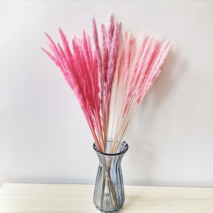sumflora instagram 2024 plant table decor flower garden design dried flowers small pampas grass