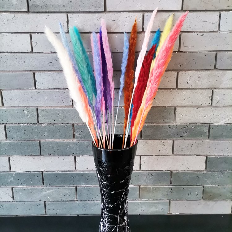 sumflora instagram 2024 plant table decor flower garden design dried flowers small pampas grass