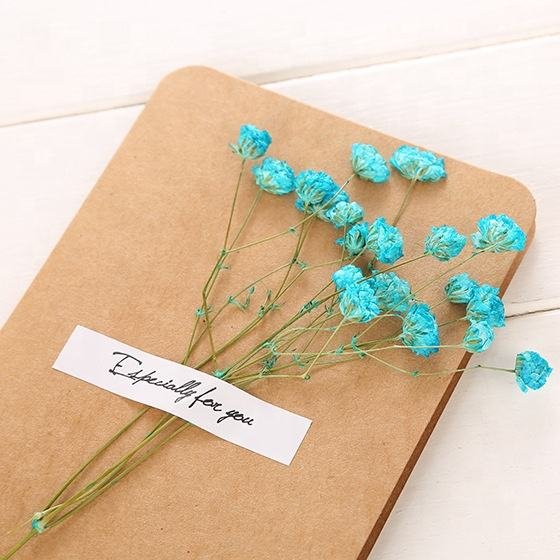 Mother's Day Father's Day Thank You Natural Dry Flower Customized Dried Flower Greeting Cards