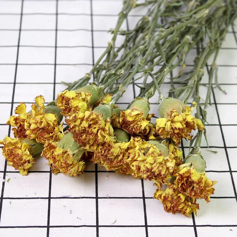 Yunnan dried bouquet real flower dry preserved carnations clove for DIY flower arrangement Mother's Day Gift