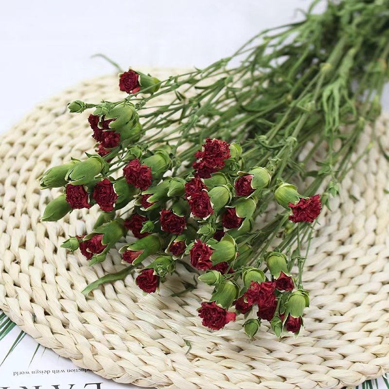 Yunnan dried bouquet real flower dry preserved carnations clove for DIY flower arrangement Mother's Day Gift