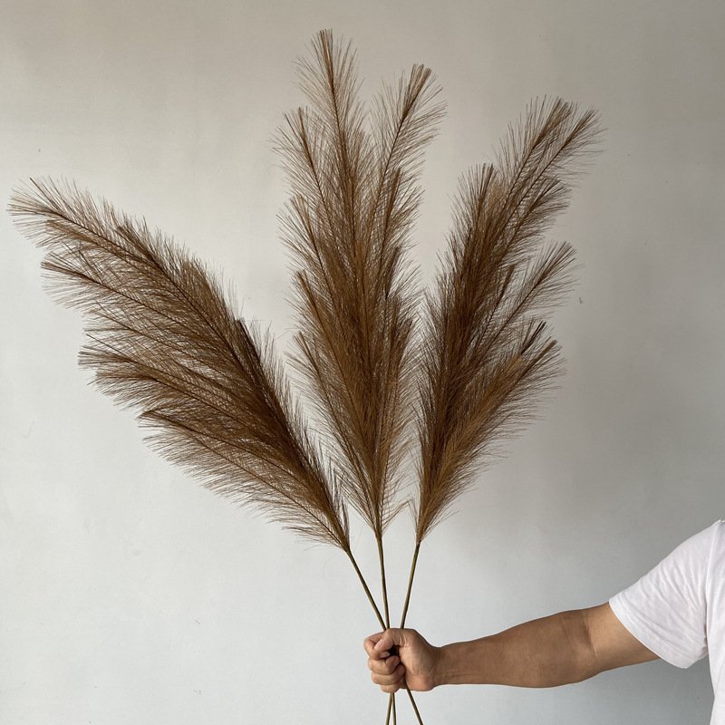Pampas Grass Preserved Flowers Colorful Nature Dried Flowers Artificial Preserved Multi-purpose Pampas Grass