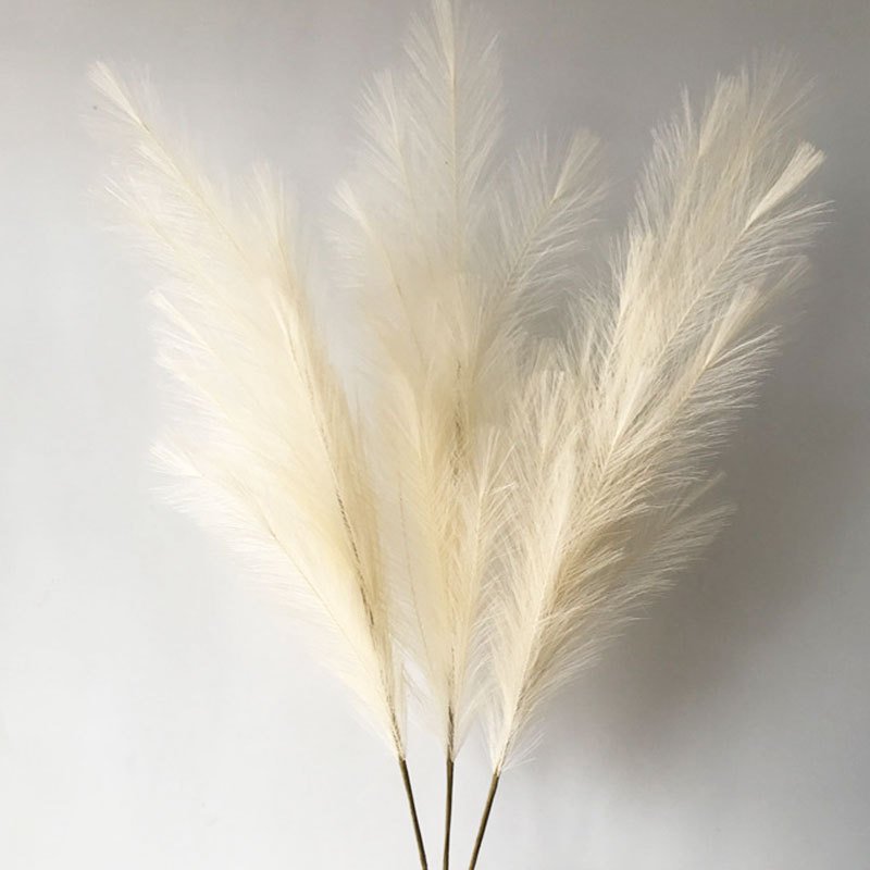 Pampas Grass Preserved Flowers Colorful Nature Dried Flowers Artificial Preserved Multi-purpose Pampas Grass
