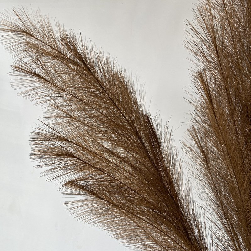 Pampas Grass Preserved Flowers Colorful Nature Dried Flowers Artificial Preserved Multi-purpose Pampas Grass