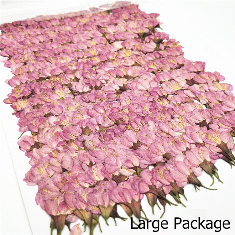 Hot Selling Cherry Blossoms Dried Flowers Decorative For Home Diy Decoration Flower Arrangement On Amazon
