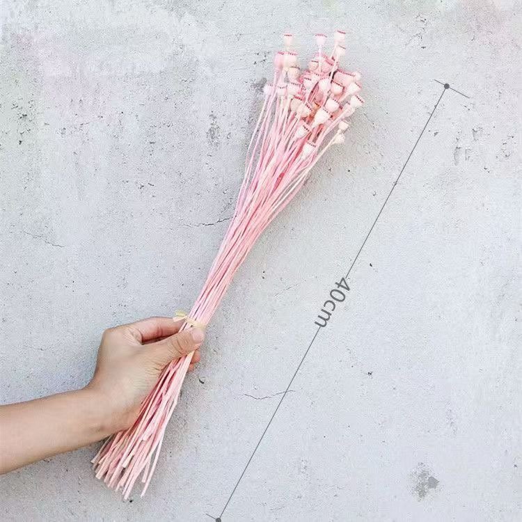 50 grams bunch natural wholesale prices dried poppy flowers poppy flower dry corn poppy for home events decor diy arrangement