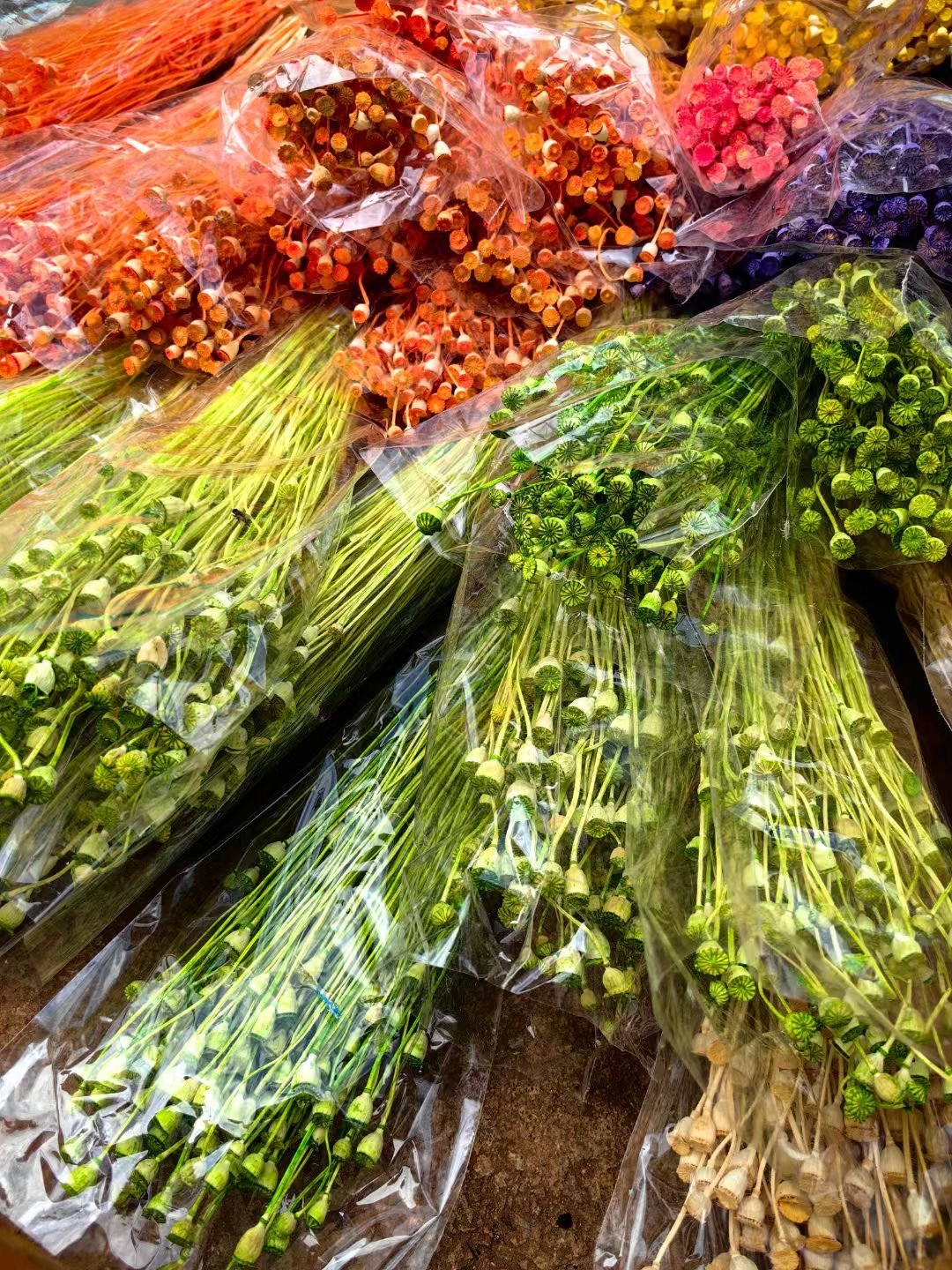 50 grams bunch natural wholesale prices dried poppy flowers poppy flower dry corn poppy for home events decor diy arrangement
