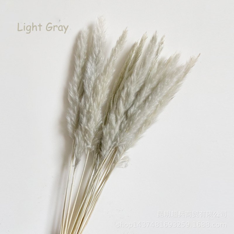New recommend Decorative Reed Flower Large Dried Wedding Home Fluffy Reeds dry flowers natural Pampas Grass