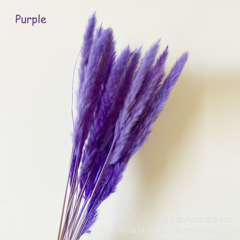 New recommend Decorative Reed Flower Large Dried Wedding Home Fluffy Reeds dry flowers natural Pampas Grass