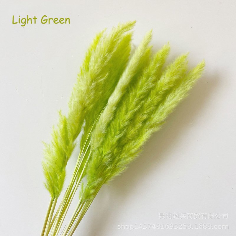 New recommend Decorative Reed Flower Large Dried Wedding Home Fluffy Reeds dry flowers natural Pampas Grass