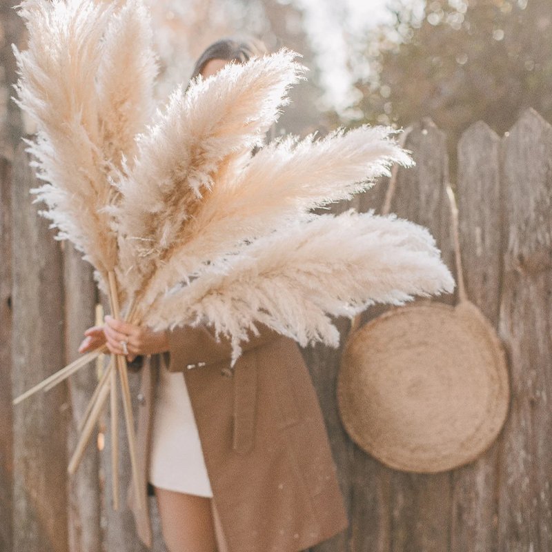 High Quality Dried Flowers Natural Reed White Color Large Fluffy Pampas Grass For Weddings Home Decoration
