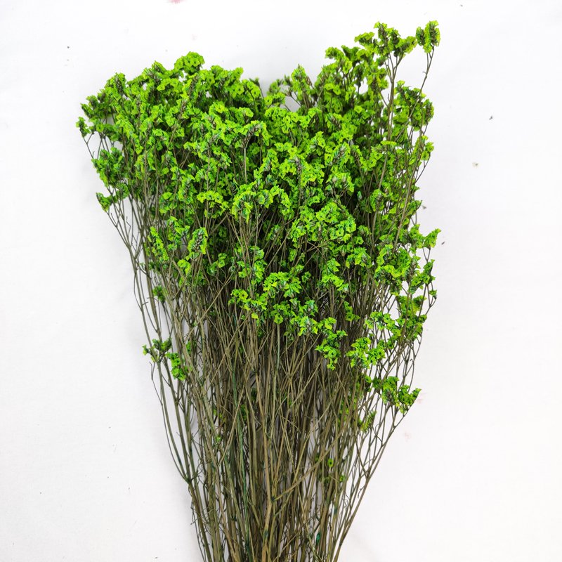 Preserved German Statice Limonium Dried Flowers Sea Lavender Crystal Grass For Home Wedding Flower Bouquet Decoration