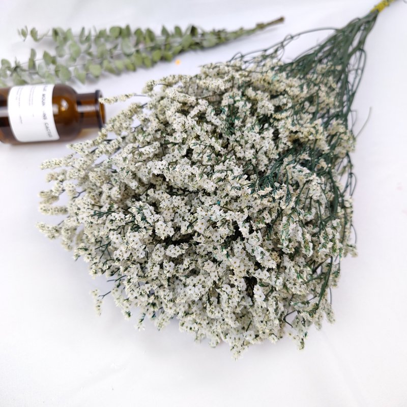 Preserved German Statice Limonium Dried Flowers Sea Lavender Crystal Grass For Home Wedding Flower Bouquet Decoration