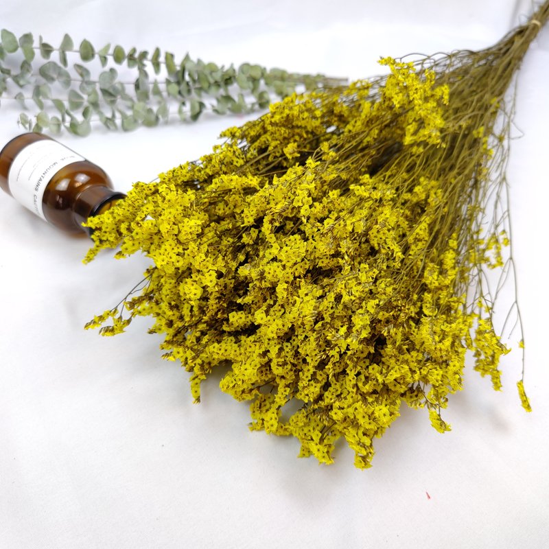 Preserved German Statice Limonium Dried Flowers Sea Lavender Crystal Grass For Home Wedding Flower Bouquet Decoration