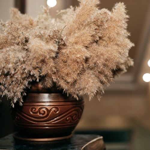 Tall Fluffy Pampas Grass 10 pcs Brown Tall Vase Dried Flower Decoration Wedding Floral Bohemian Decor Dried Flower Plant