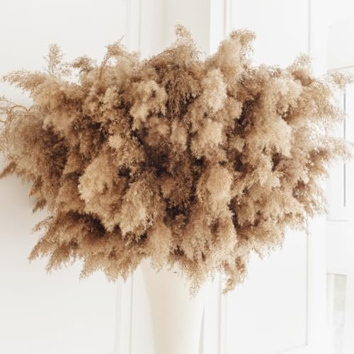 Tall Fluffy Pampas Grass 10 pcs Brown Tall Vase Dried Flower Decoration Wedding Floral Bohemian Decor Dried Flower Plant