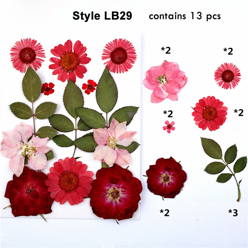 Art Crafts Mini Flower Jewelry Nail Stickers Phone Case Resin Natural Real Dried Pressed Flower For Decor