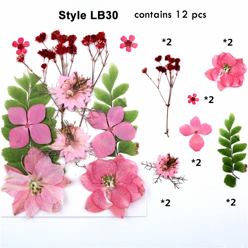 Art Crafts Mini Flower Jewelry Nail Stickers Phone Case Resin Natural Real Dried Pressed Flower For Decor