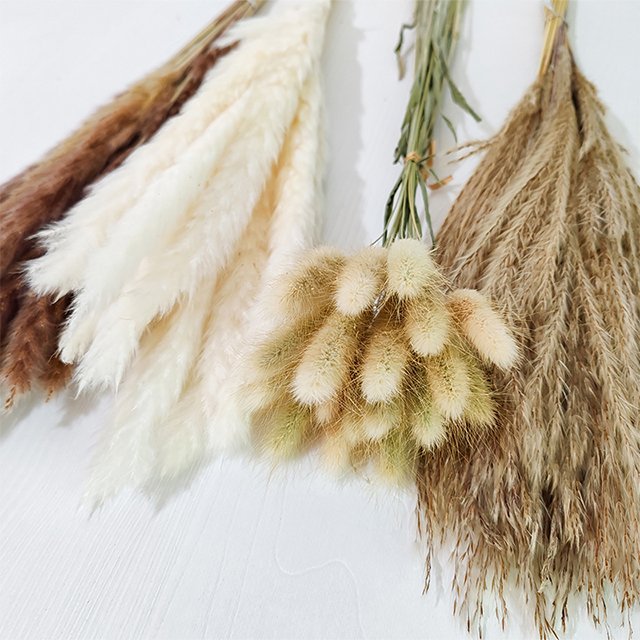 100pcs 17.3inch Fluffy Natural Dried Pampas Mixed dried Bunnytail Grass dried flower Bouquets Boho Home Decor Wedding Decor