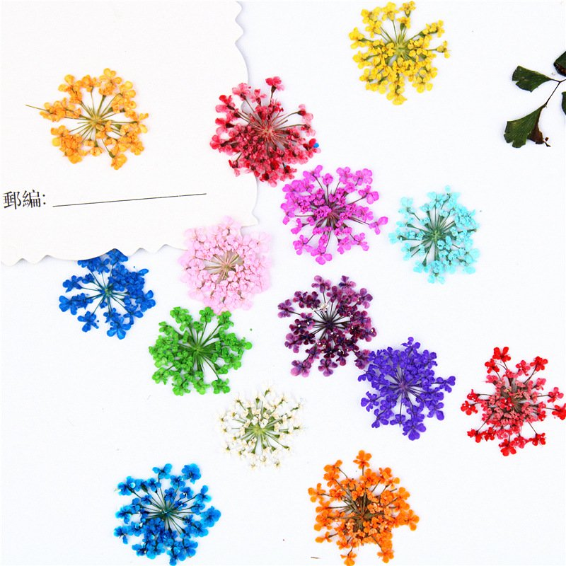 Snowdrop Flower Nail Art Supplies Dried Preserved Flowers Bouquet Dry Flower