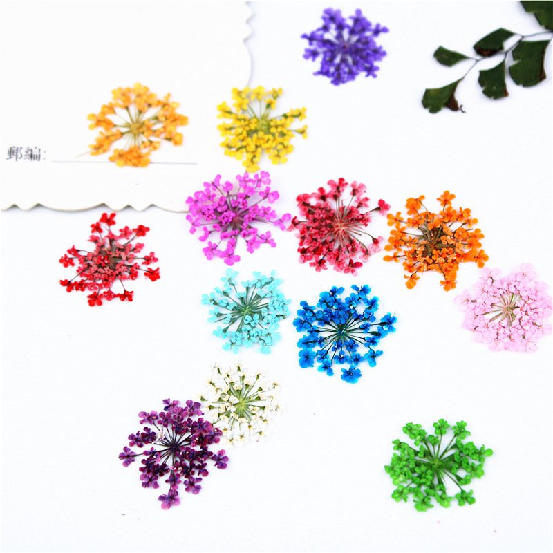 Snowdrop Flower Nail Art Supplies Dried Preserved Flowers Bouquet Dry Flower