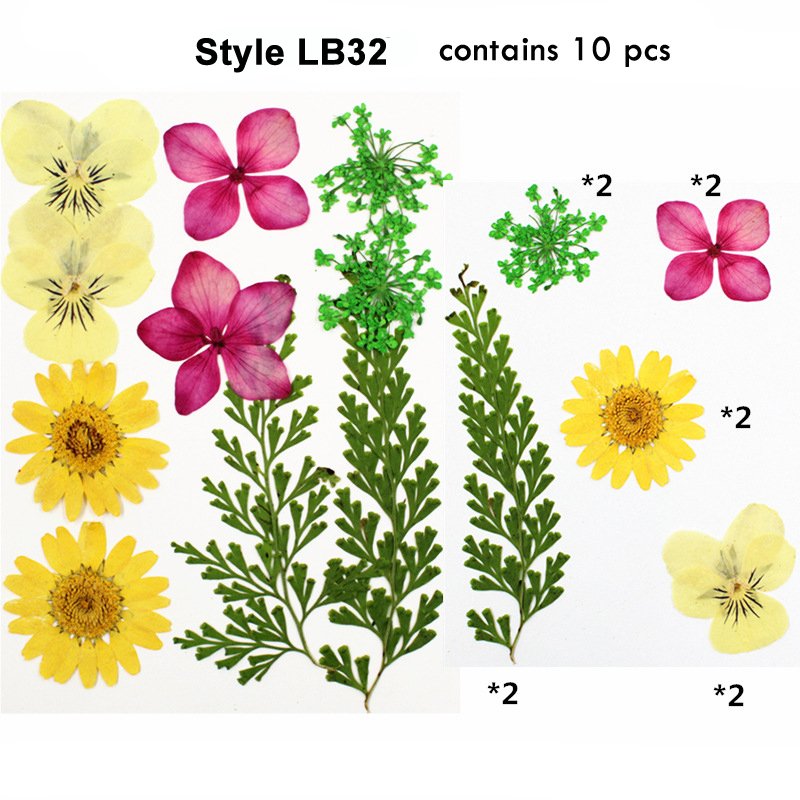 Popular Handmade Nail Art Accessories Resin Dry Decorative Art Nature Dried Pressed Flower