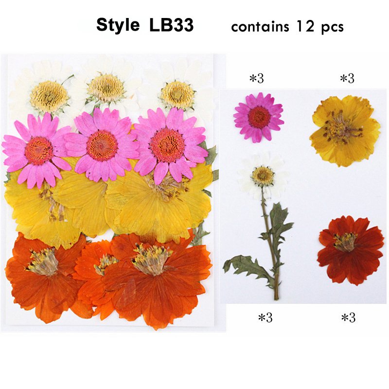 Popular Handmade Nail Art Accessories Resin Dry Decorative Art Nature Dried Pressed Flower
