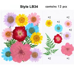 LB34