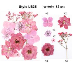 LB35