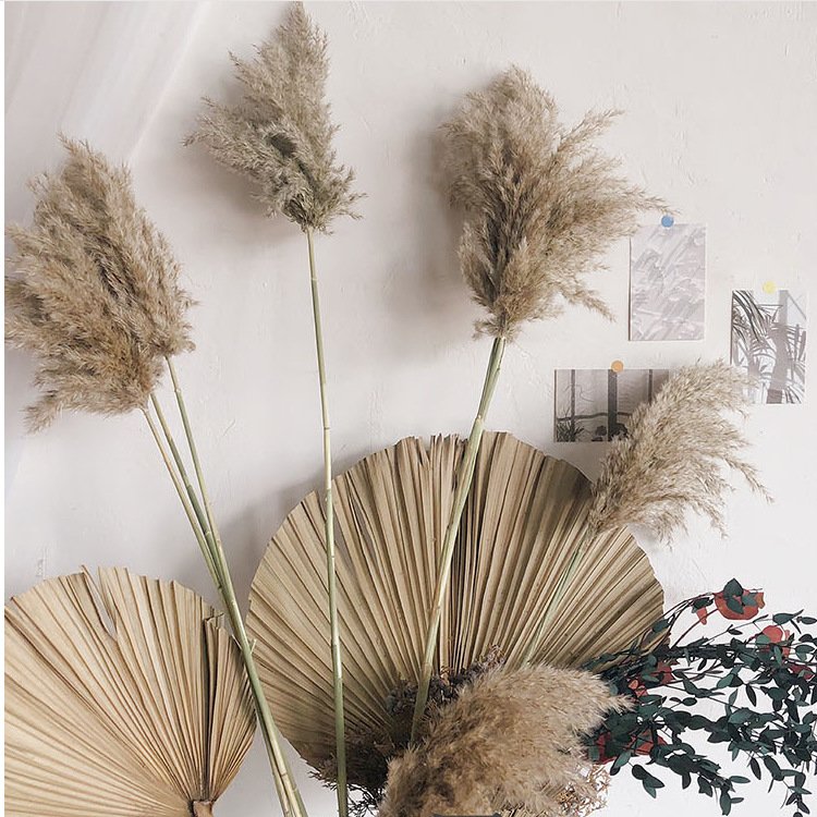 Mori retro coffee decoration big pampas grass wedding dried flowers in Europe and America pampas grass