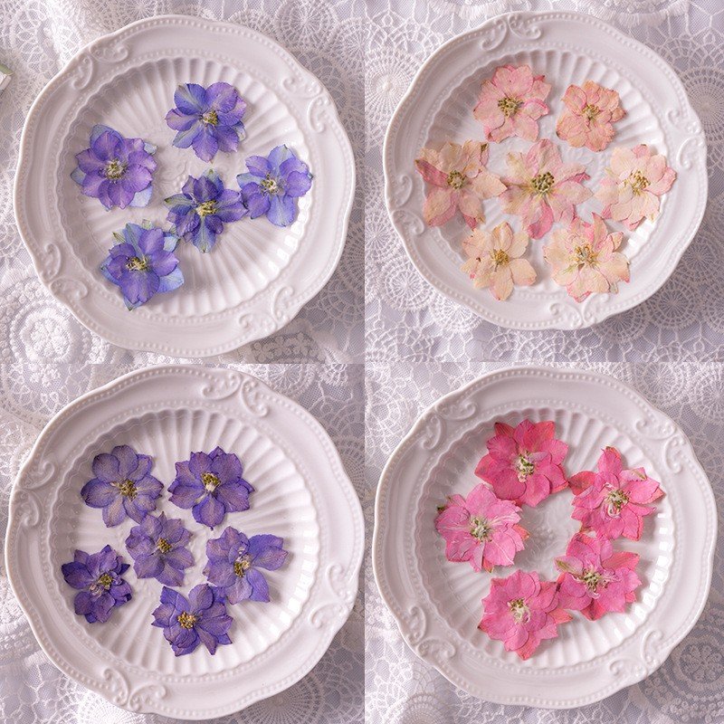12PCS/Pack Beautiful High Quality Resin Real Dried Floral Pressed Larkspur Flowers for Handmade Jewelry