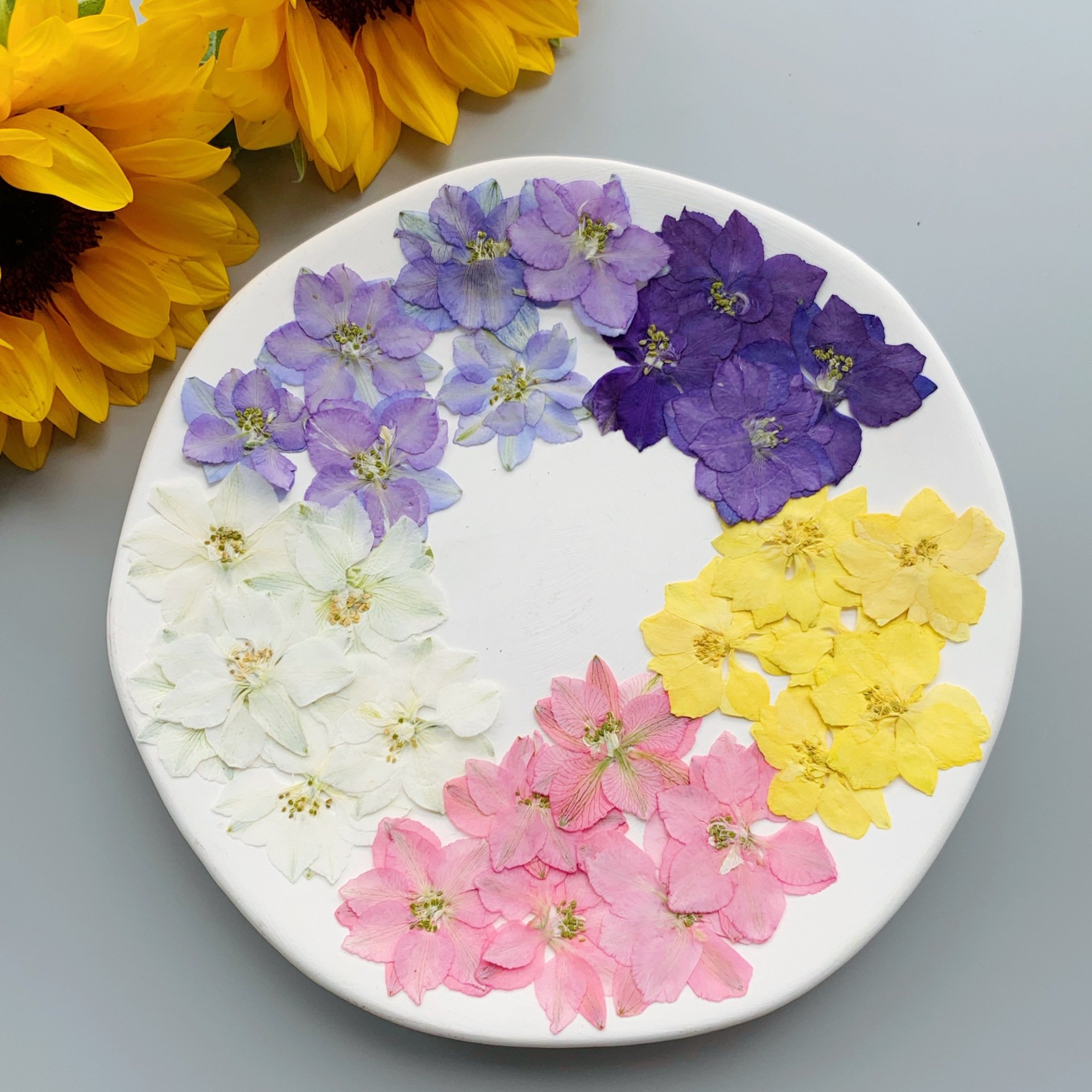 12PCS/Pack Beautiful High Quality Resin Real Dried Floral Pressed Larkspur Flowers for Handmade Jewelry