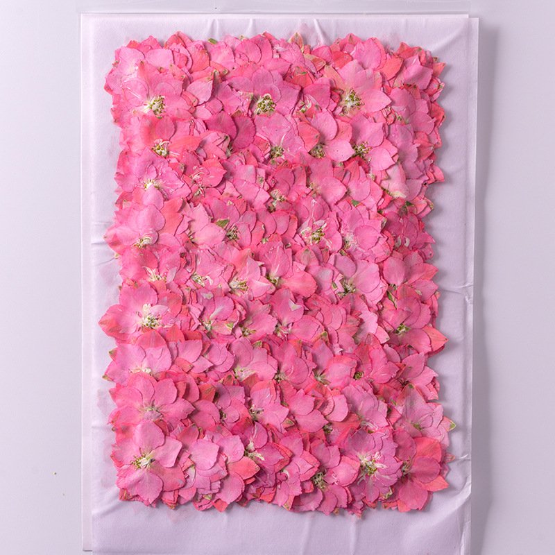 12PCS/Pack Beautiful High Quality Resin Real Dried Floral Pressed Larkspur Flowers for Handmade Jewelry