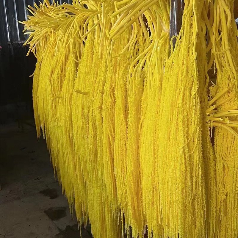 home decor flowers preserved hanging plants amaranthus dried rice flowers hanging rice for wedding party decoration