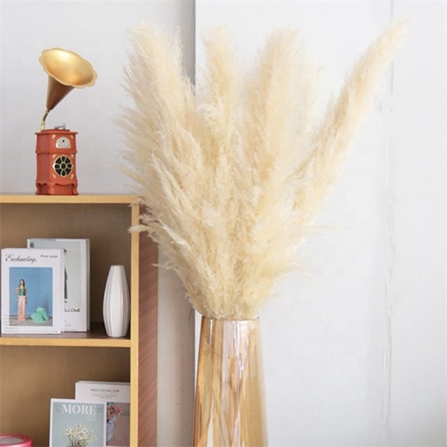 High Quality Fluffy Tall Pampas Boho Decoration Home Table Centerpiece Grass Dried Natural Flower Arranging for Wedding Party
