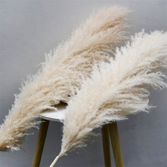 High Quality Fluffy Tall Pampas Boho Decoration Home Table Centerpiece Grass Dried Natural Flower Arranging for Wedding Party
