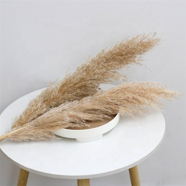 High Quality Fluffy Tall Pampas Boho Decoration Home Table Centerpiece Grass Dried Natural Flower Arranging for Wedding Party