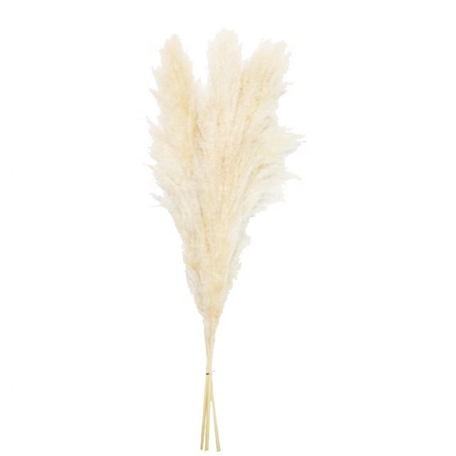 High Quality Fluffy Tall Pampas Boho Decoration Home Table Centerpiece Grass Dried Natural Flower Arranging for Wedding Party