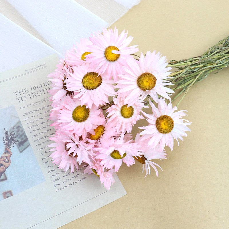 Natural Chrysanthemum Head Dried Flower Mini Chrysanthemum Rhodanthe Daisies Dried Flower Portable and Lightweight Dried Flowers