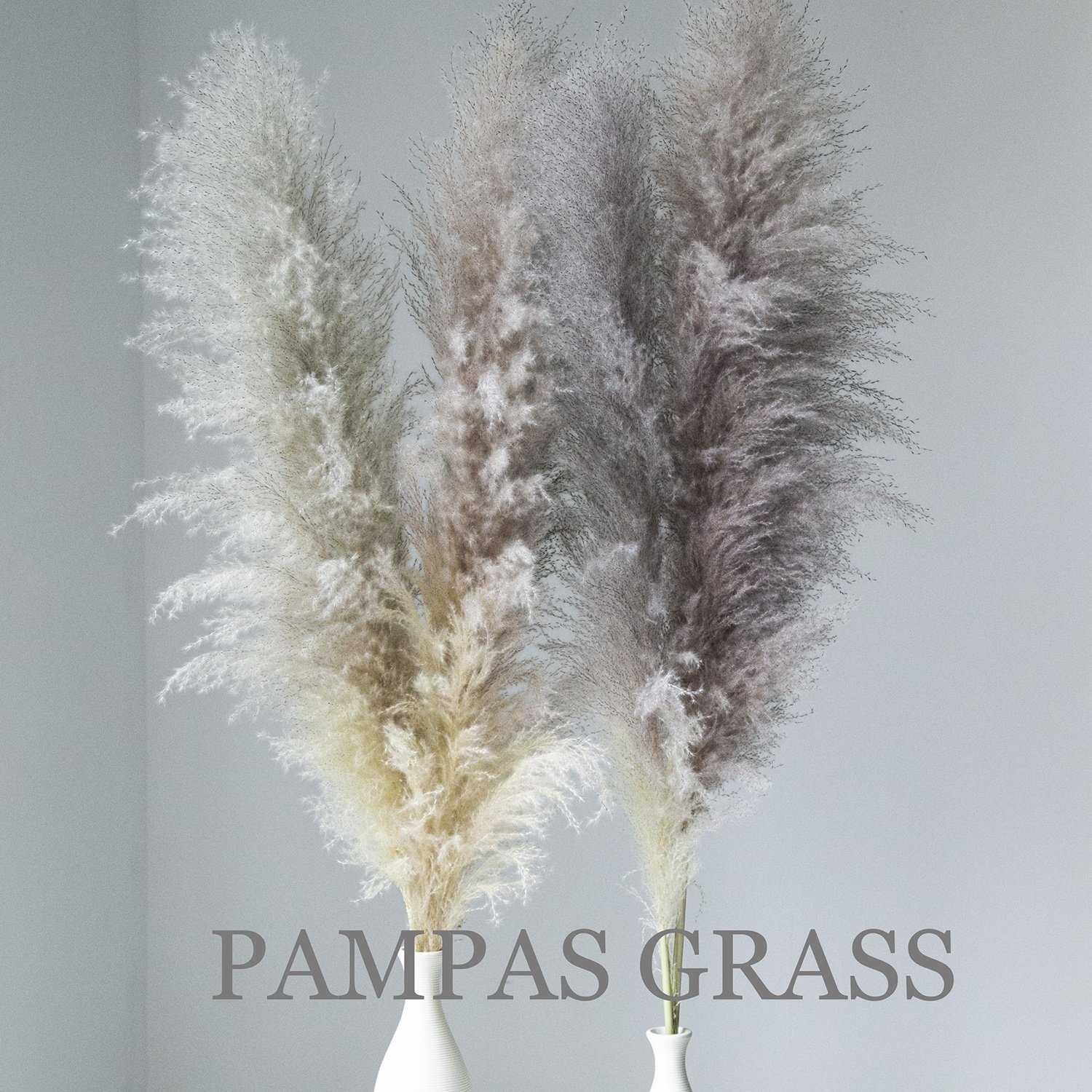 Super Low Prices Large Pampas Natural Dry Flower Dried Pampas Grass For Decoration